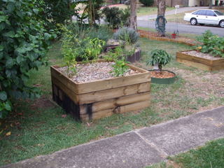Larger Wicking Bed